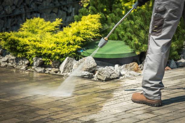 Best Gutter Cleaning  in Riverdale Park, CA