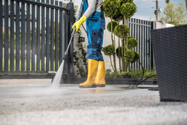 Best Driveway Pressure Washing  in Riverdale Park, CA