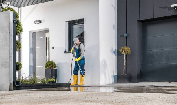 Best Sidewalk and Walkway Cleaning  in Riverdale Park, CA